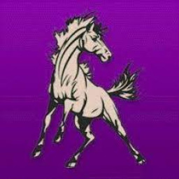 Sumner Eddyville Miller High School mascot