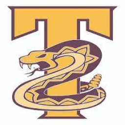 TucuMcAri High School mascot