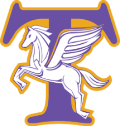 Troy High School mascot