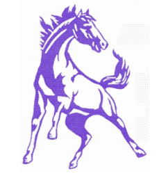 Woodlin High School mascot