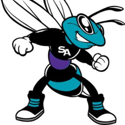 South Atlanta High School mascot