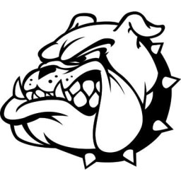 Boyer Valley High School mascot