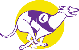 Lebanon High School mascot