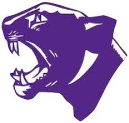 Delavan High School mascot