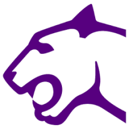 Litchfield High School mascot