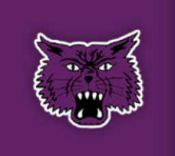 Muncie Central High School mascot