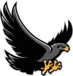 Andrew Hill High School mascot