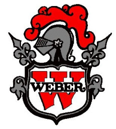 Weber High School mascot