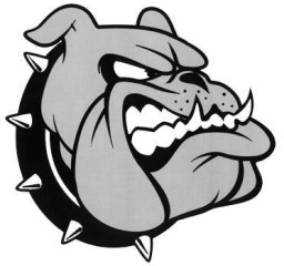 Provo High School mascot