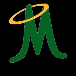 Bishop Manogue High School mascot