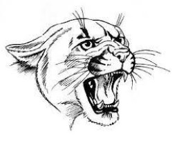 Brushton Moira High School mascot