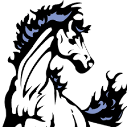 Cairo Durham High School mascot