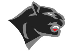 Chatham Central High School mascot