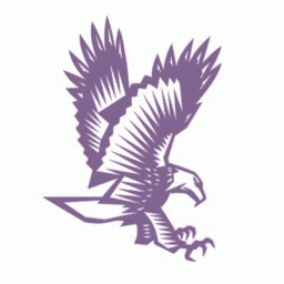 Downsville Central High School mascot