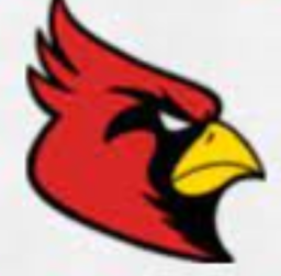 Fort Ann North Central School mascot