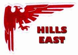 Half Hollow Hills East High School mascot