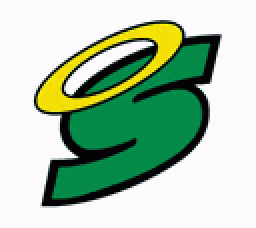 Seton Catholic Central High School mascot