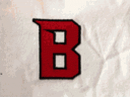 Boonton High School mascot