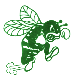 Pemberton Township High School mascot