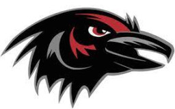 Robbinsville High School mascot