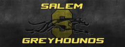 Salem High School mascot