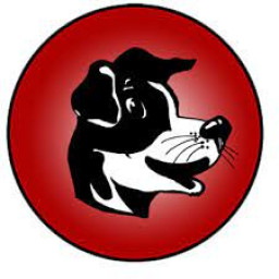 Brockway High School mascot