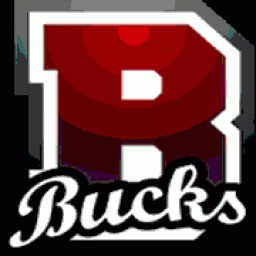 Bucktail High School mascot