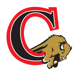 Clearfield High School mascot