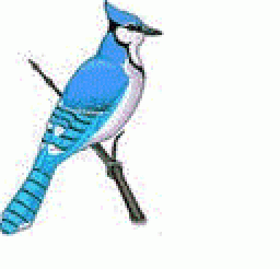 Conemaugh Valley High School mascot