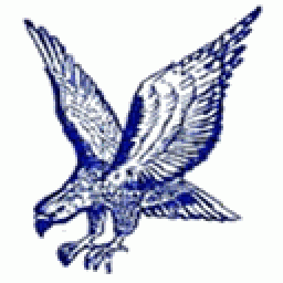 Connellsville Area High School mascot