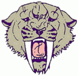 Ford City Junior Senior High School mascot