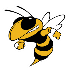 Clinton High School mascot