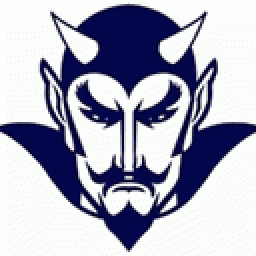 Leechburg Area High School mascot