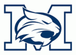 Mifflinburg High School mascot