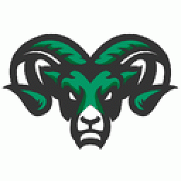 Pine Richland High School mascot