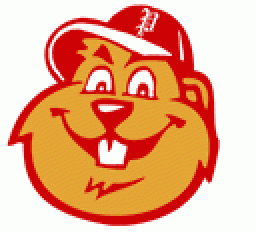 Punxsutawney High School mascot