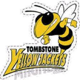 Tombstone High School mascot