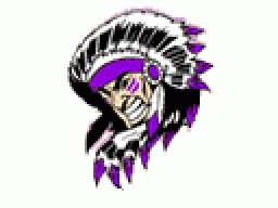 Shamokin Area High School mascot