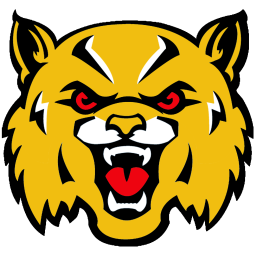 Boron High School mascot