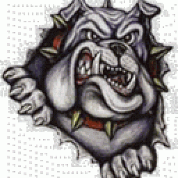 Tri Valley High School mascot