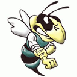 Wellsboro Area High School mascot