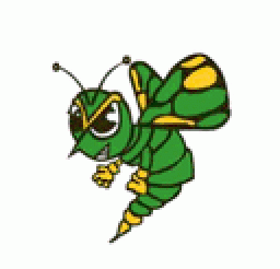 Brown County High School mascot