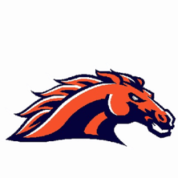 Cerro Gordo High School mascot