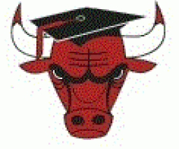 Chicago Bulls Charter Preparatory High School mascot