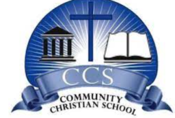 Community Christian School mascot