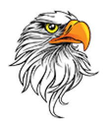 Coulterville High School mascot