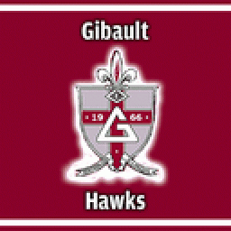 Gibault Catholic High School mascot