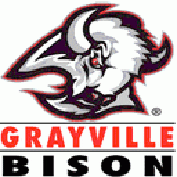 Grayville High School mascot