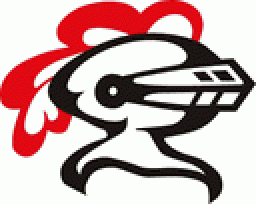 Lincoln Way Central High School mascot