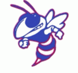 Nashville High School mascot